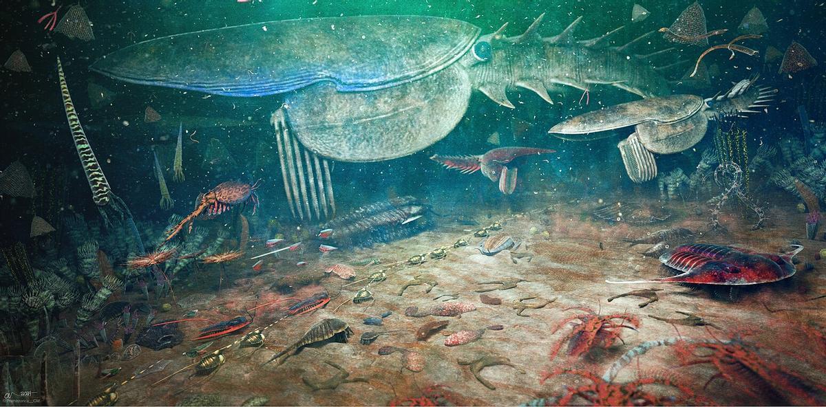 Reconstrucción de la Biota de Fezouata, que incluye unas 50 especies diferentes.