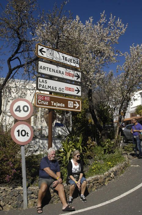 Fiestas del Almendro en Flor en Tejeda