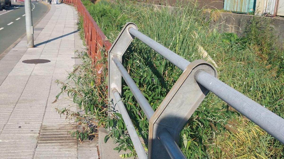 Los vecinos denuncian el mal estado del entorno del río.