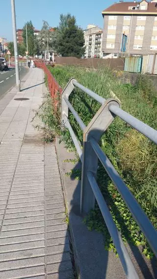 Fonte da Coca exige actuar contra la maleza y las ratas