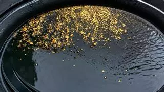Un buscador de oro sorprende con las pepitas que encuentra en un río de Extremadura