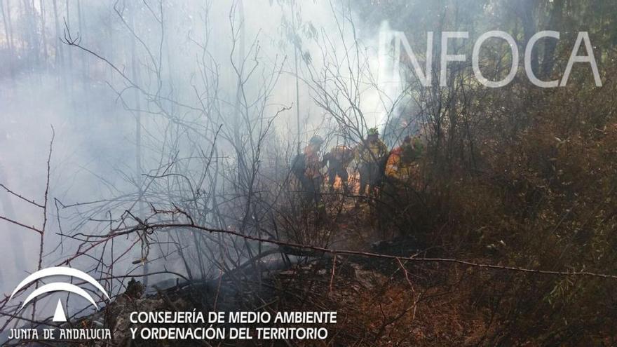 Efectivos del Infoca trabajando en el incendio.