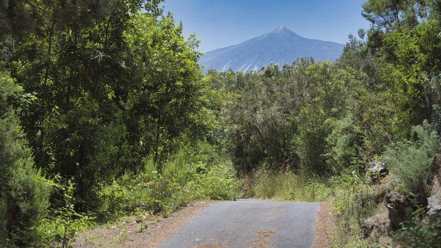 ”Icod de los Vinos en ruta”, doce caminos por explorar
