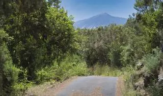 ”Icod de los Vinos en ruta”, doce caminos por explorar
