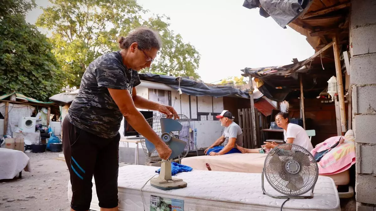 El verano en las chabolas de Córdoba: "No dormimos ni de noche ni de día"