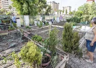 Espacios para cultivar convivencia