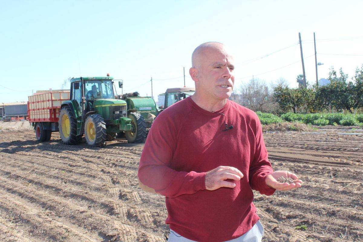 Carles Peris, secretario general de la Unió, en un campo de chufas.