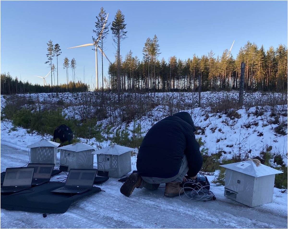 Uno de los investigadores de la Uppsala, durante trabajos de campo