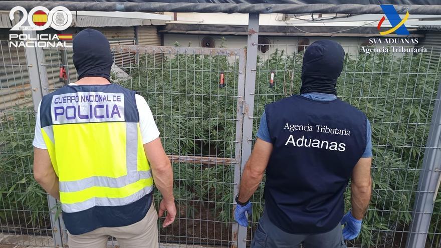 Cae un clan familiar en Las Cabezas con una tonelada de marihuana y varias armas de fuego