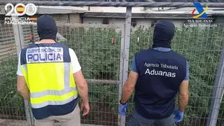 Cae un clan familiar en Las Cabezas con una tonelada de marihuana y varias armas de fuego