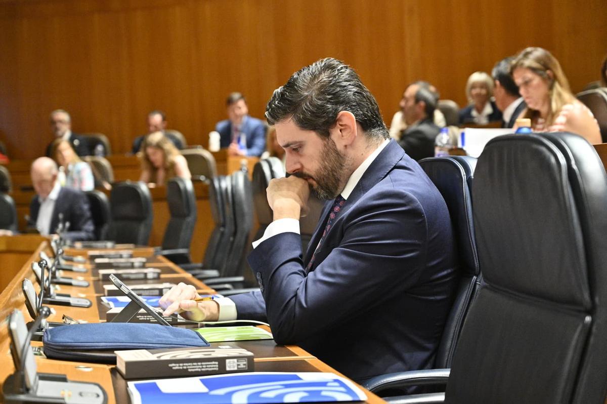 El vicepresidente del Gobierno de Aragón, Alejandro Nolasco, este jueves en el pleno de las Cortes.