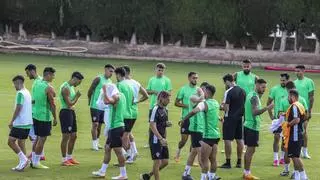 El Elche tiene, con diferencia, el límite salarial más alto de Segunda División