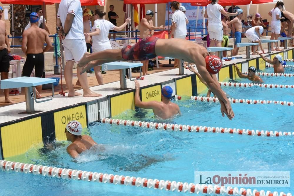 Final del Campeonato regional de natación.