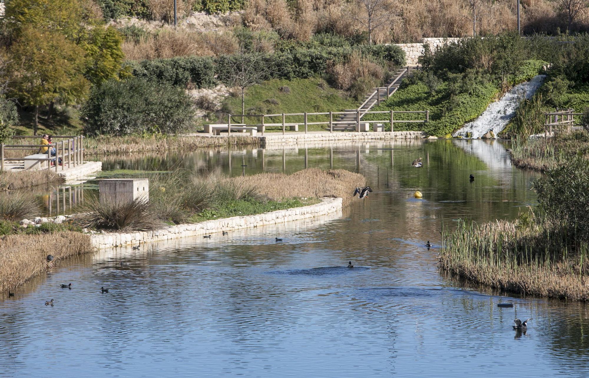 It is also advisable to take a walk near the water, where you can see ducks and all kinds of birds fluttering around, as well as a four-meter-high waterfall.