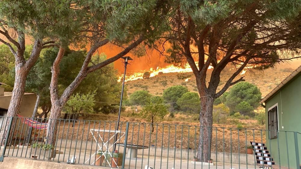 Cinco dotaciones de bomberos, tres unidades de bomberos forestales, siete medios aéreos y unos 40 efectivos terrestres tratan de contener el fuego