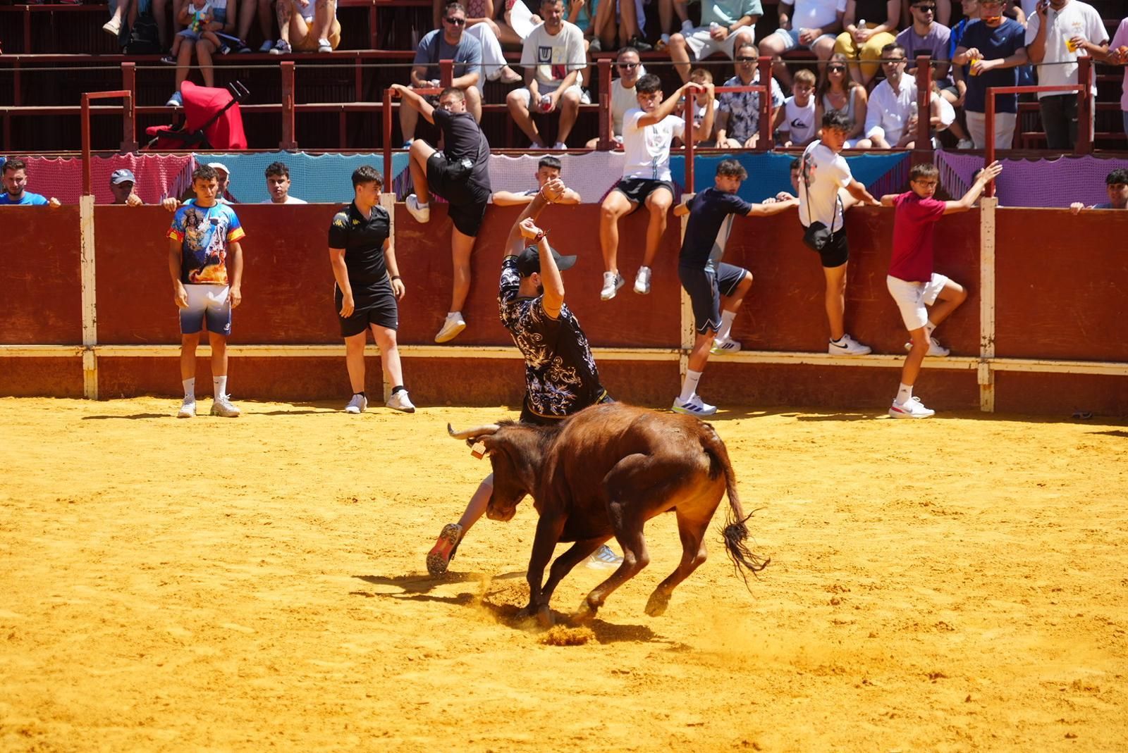 Gran ambiente, numeroso público y emoción en los encierros taurinos de El Viso