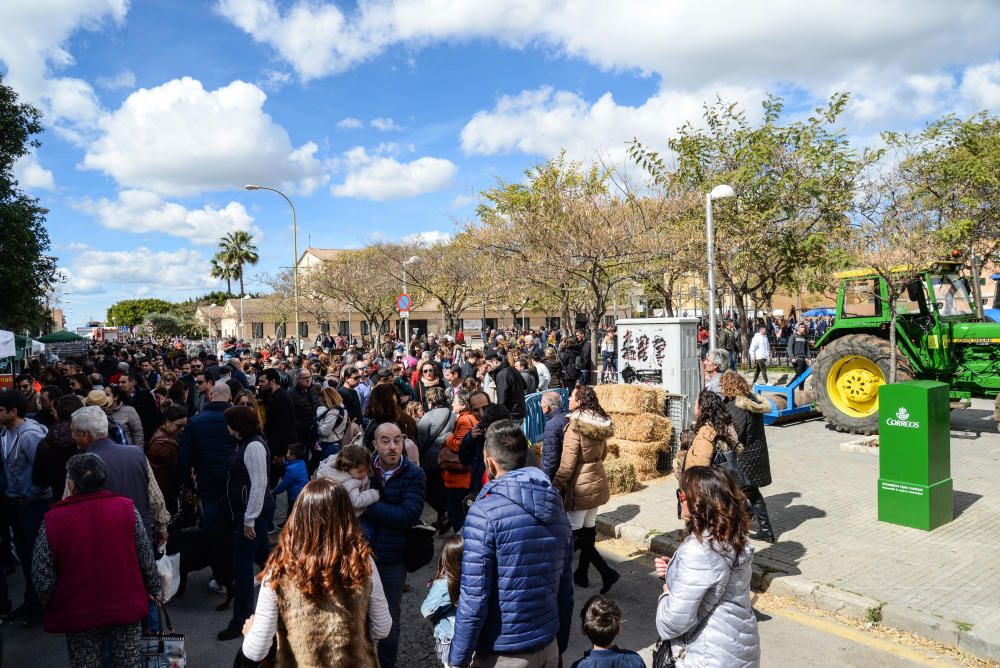 Son Ferriol renueva el éxito en su multitudinaria Fira