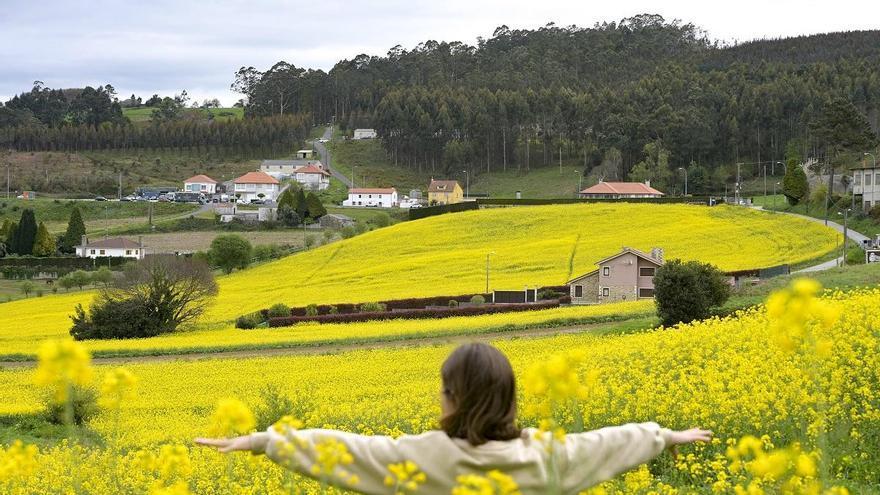 Los gallegos compran más productos ecológicos, pero su campo aún no le sigue el paso