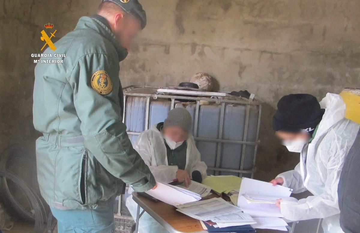 Los agentes del Seprona revisan la documentación del titular de la explotación alistana.