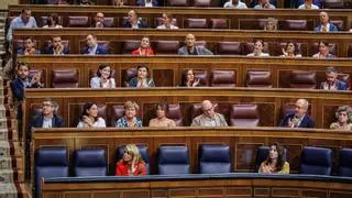 "¿Habré puesto la lavadora?": los viajes mentales de los diputados mientras están dos horas votando