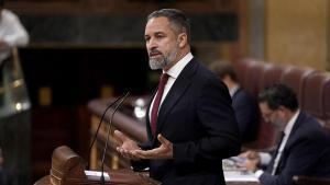 Santiago Abascal, Vox. Comparecencia de Pedro Sánchez en el Congreso de los Diputados.