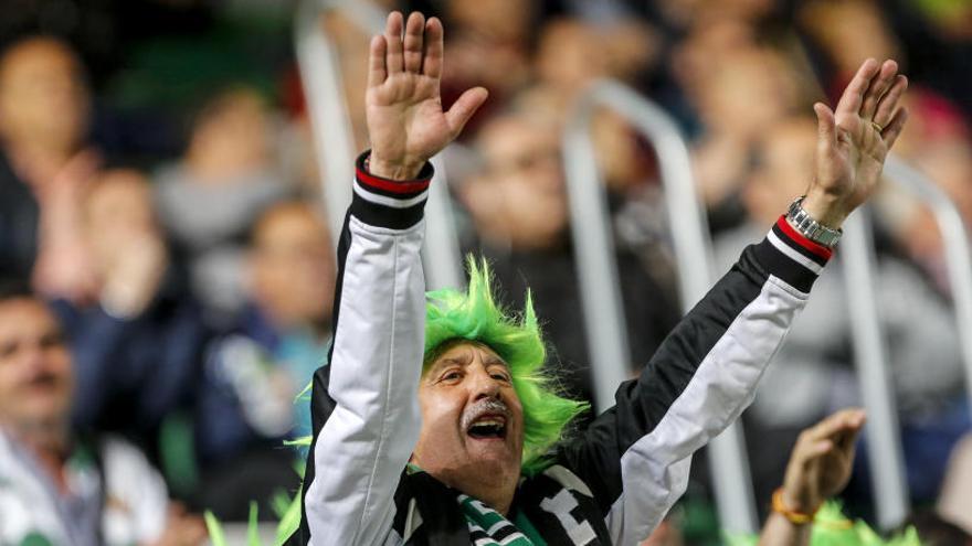 Un aficionado de la peña &quot;Pelucas Verdes&quot;, durante el último partido en el Martínez Valero frente al Tenerife