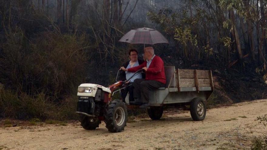 Una pareja en chimpín y bajo la lluvia.