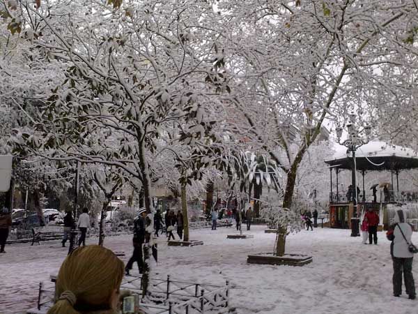 Fotos de nuestros lectores de la gran nevada