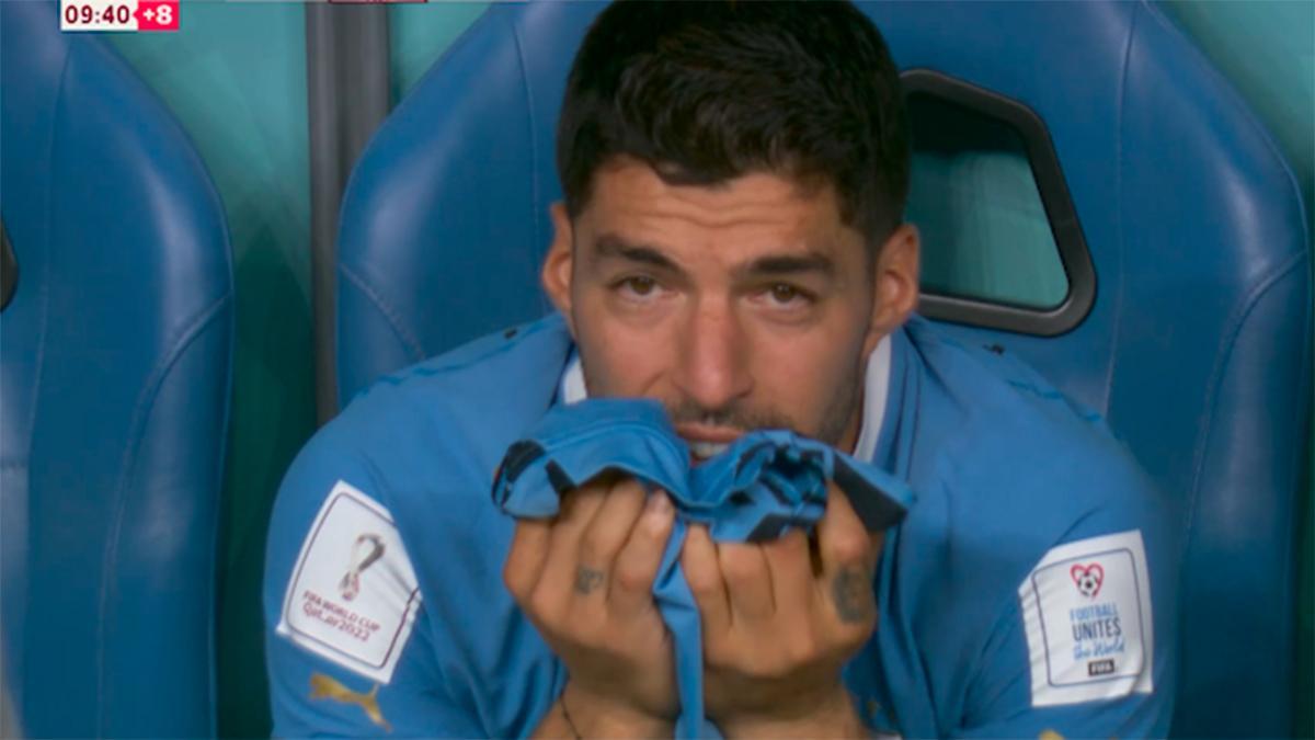 Luis Suárez sufre en el banquillo tras la eliminación de Uruguay del Mundial de Qatar