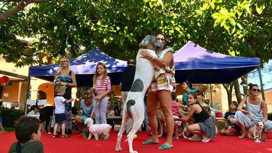 SOS Animal Mallorca recauda 12.000 euros para ayudar a los animales