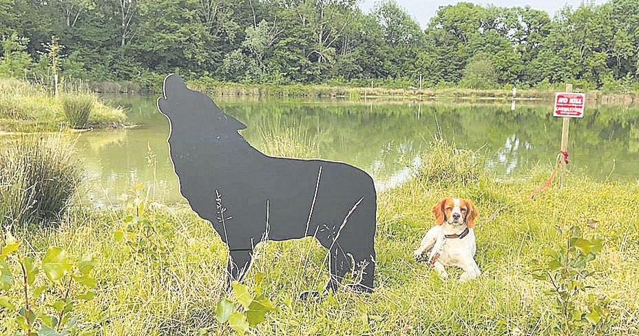 La fauna del artista asturiano Vicente Pastor invade la campiña francesa: esta es su impactante exposición