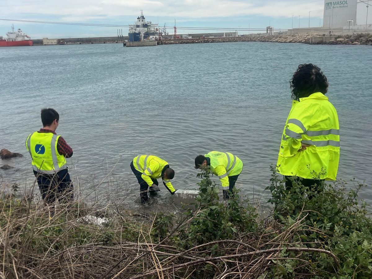 Técnicos instalan bloques para realizar las pruebas.