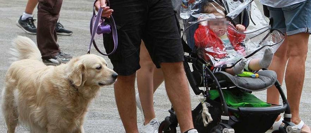 Una pareja camina con su hija y su perro por la Plaza Mayor de Ourense. // Iñaki Osorio