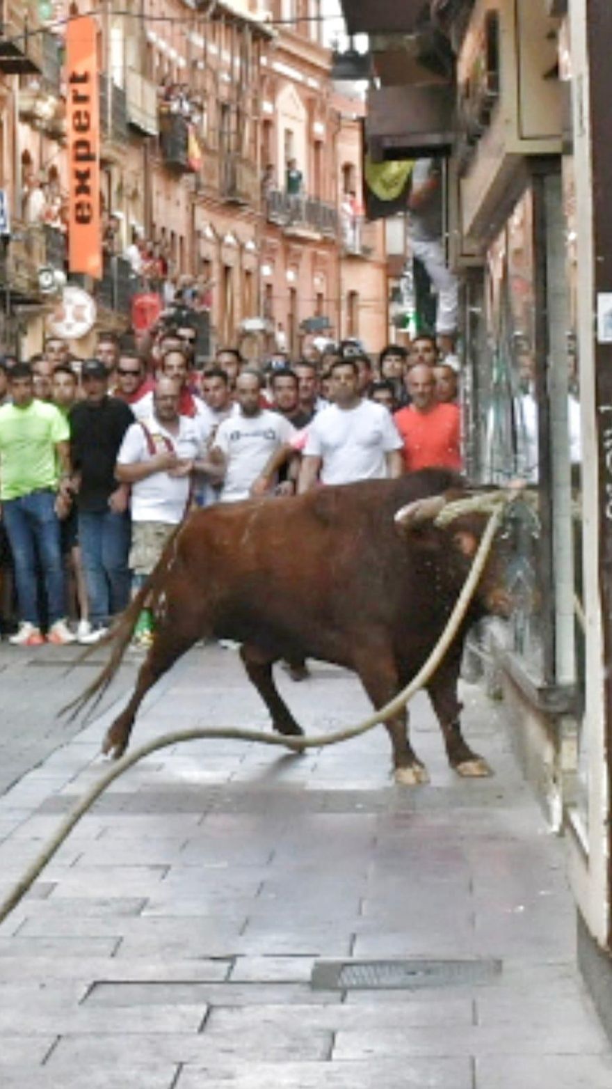 Así ha sido la carrera del torito Espléndido en Benavente