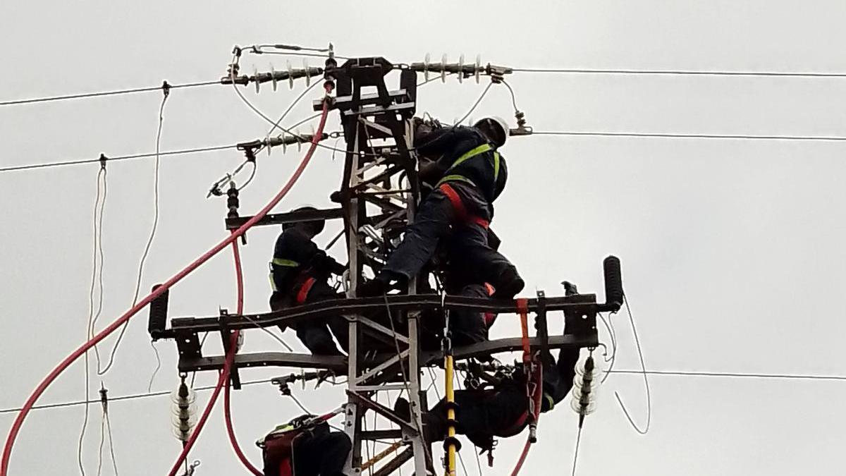 Operarios de Endesa recientemente  durante las obras de reconstrucción de la red de media tensión en La Palma.