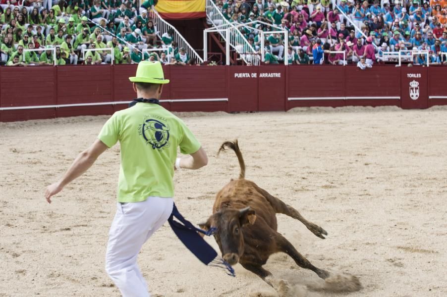 Becerrada, encierros y vaca de la sangría