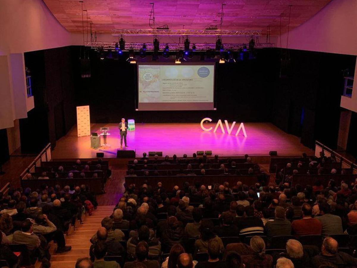 Presentación del plan estratégico de la DO Cava en el Auditori de Vilafranca del Penedès, en 2020.