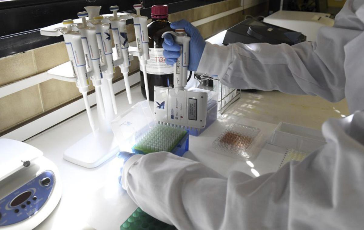 Una investigadora manipula una muestra. | ISRAEL SÁNCHEZ