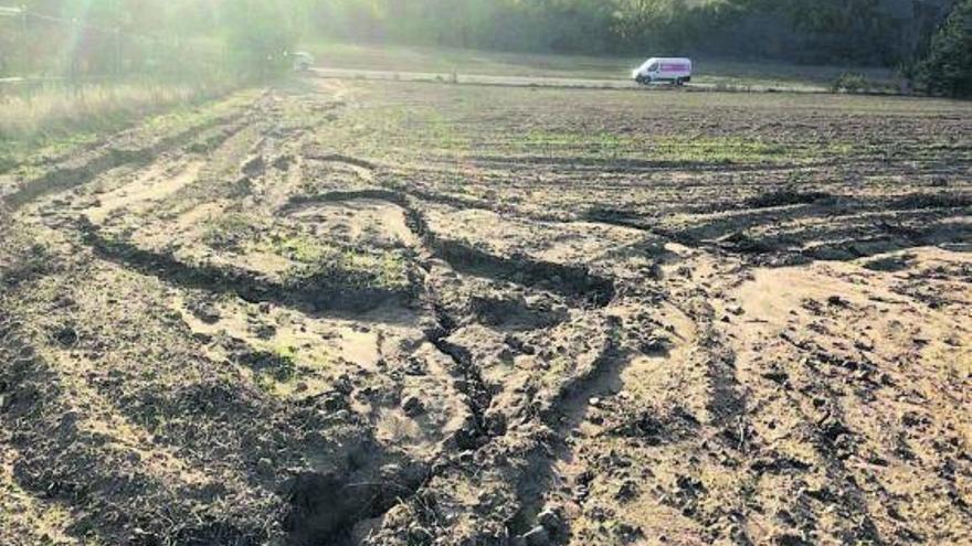 Agricultores critican la compactación de terrenos para instalar plantas solares