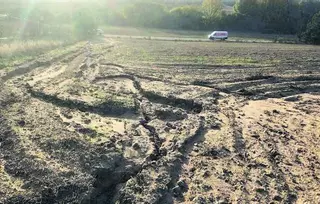 Agricultores critican la compactación de terrenos para instalar plantas solares