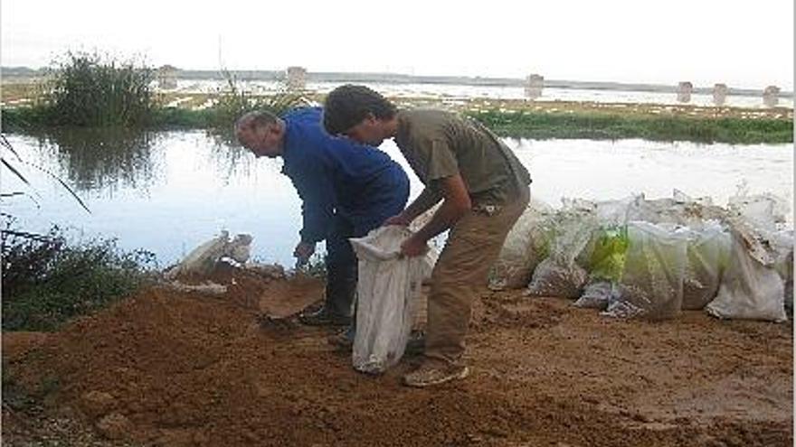 La rotura de una mota llena de agua 300 hanegadas