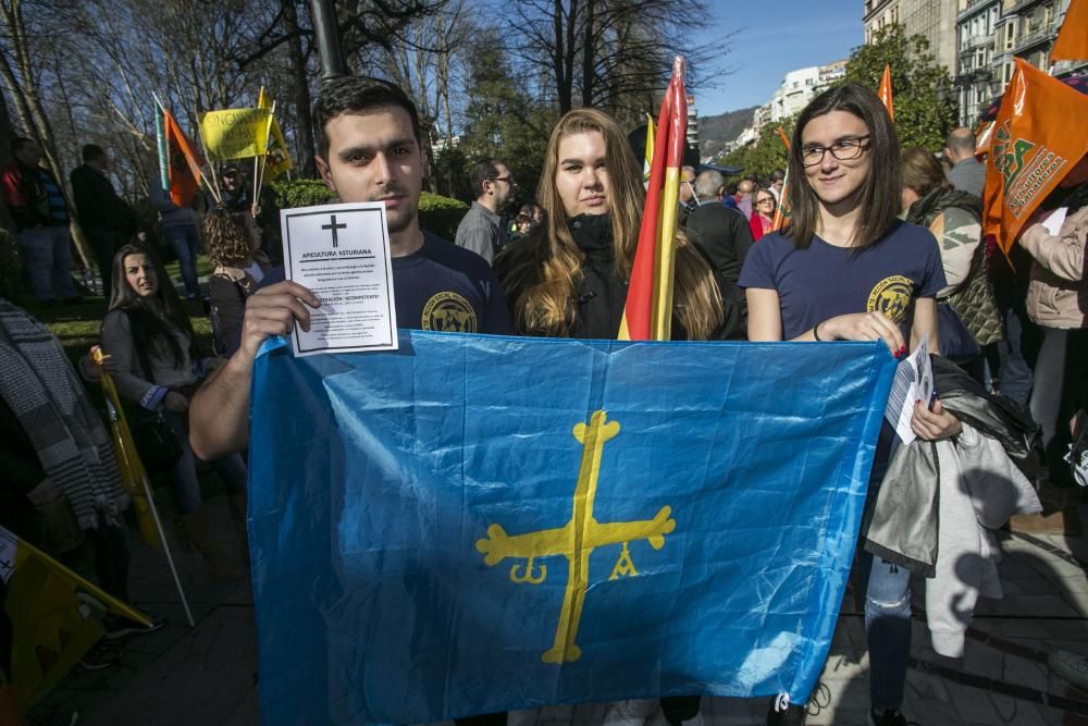 El campo asturiano llena Oviedo con su clamor de cencerros