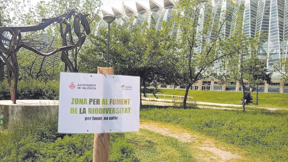 Moltes ciutats espanyoles comencen a destinar punts dels jardins on es redueixen els pesticides, en una aposta pel foment de la biodiversitat, amb la construcció fins i tot de petits hotels per als insectes.