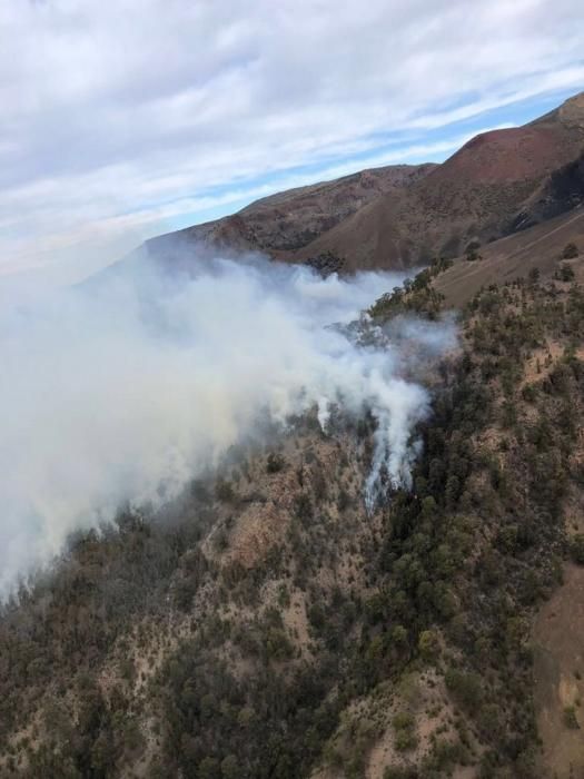 Incendio forestal declarado en el Paisaje Lunar (cumbres de Granadilla)