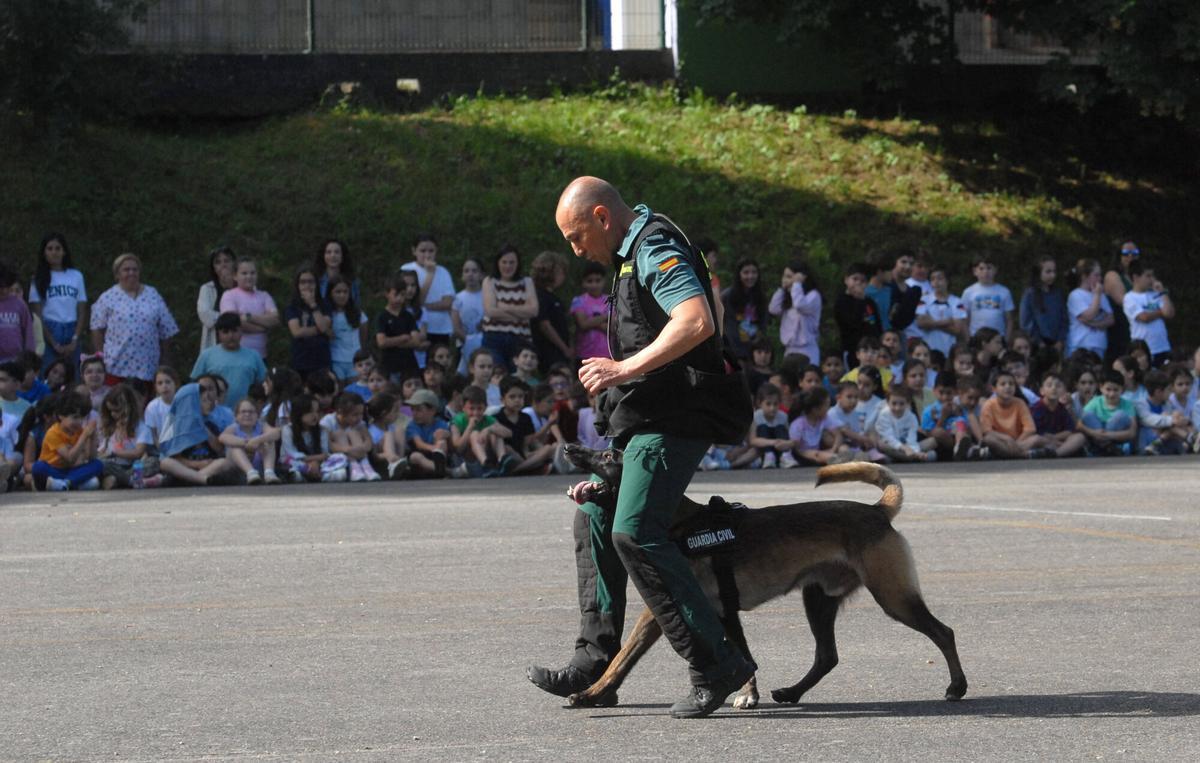448 alumnos participaron en una exhibición didáctica organizada por la Guardia Civil