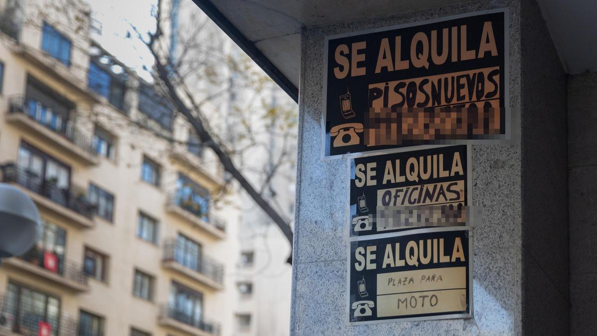 Carteles de alquiler de vivienda, en una imagen de archivo.