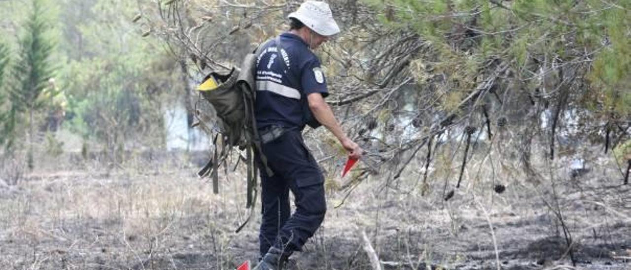 La Fiscalía del Estado apoya el papel  de agente de autoridad de los forestales