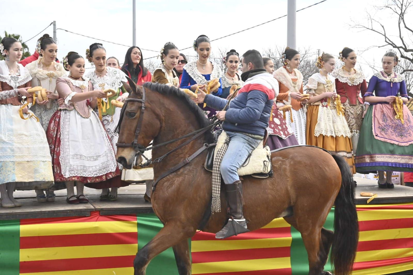 Galería de fotos: Castelló se vuelca con la procesión de Sant Antoni a la Mare de Déu del Lledó