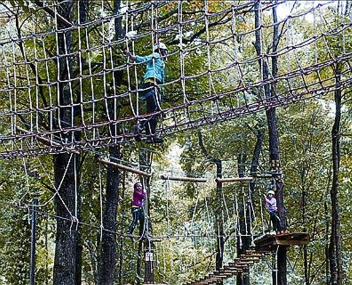 La fauna del Pirineu Adrenalina esportiva Passejades a la roca Aventures arbòries_MEDIA_1 La fauna del Pirineu Adrenalina esportiva Passejades a la roca Aventures arbòries_MEDIA_1