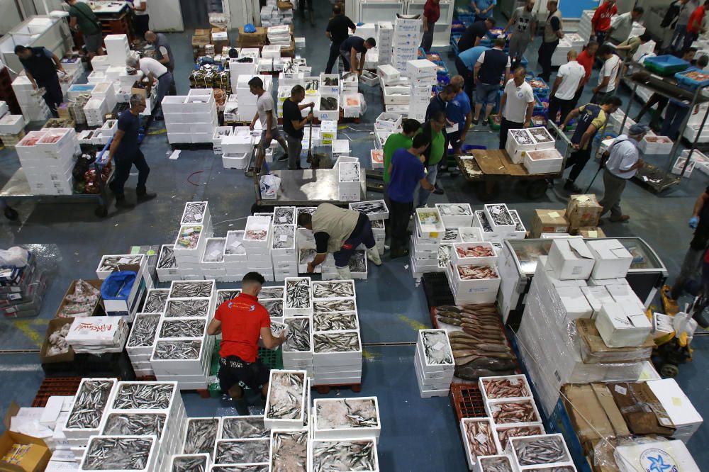 Así es un día de trabajo en la pescadería de Mercamálaga